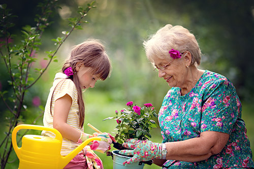 Spring Activity Recommendations for you and Your Senior Loved One - Bethlehem, GA